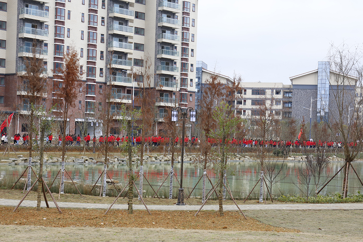 1546095883109094.jpg 2.jpg