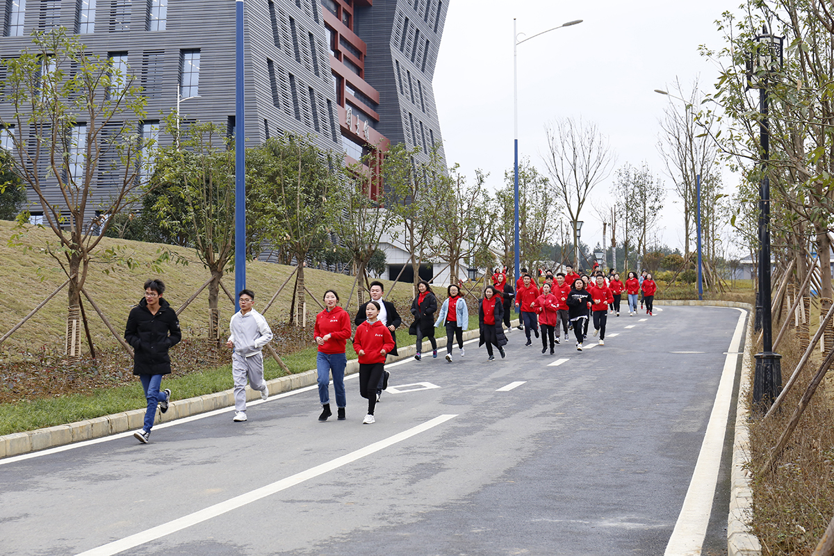 1546095927935640.jpg 3.jpg