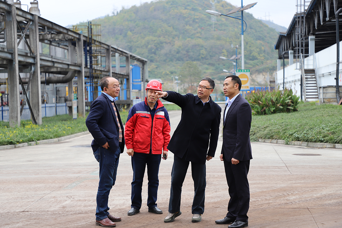 1574650516132568.jpg 6.jpg