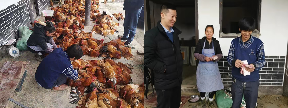 1579751738181723.png 图片56.png