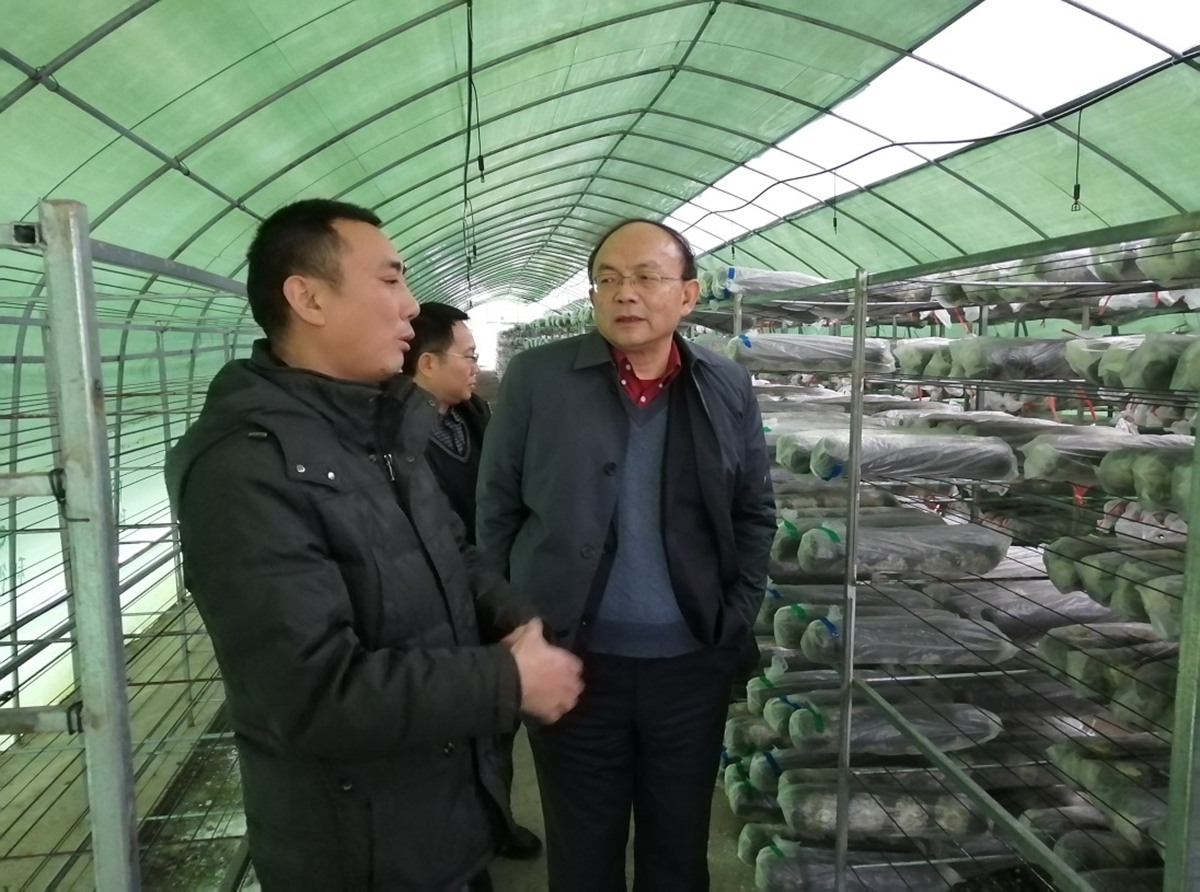 1579751747879741.png 图片7.png