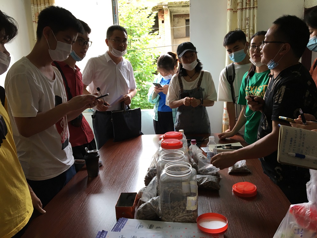 1594033110820013.jpg 1594033110820013.jpg