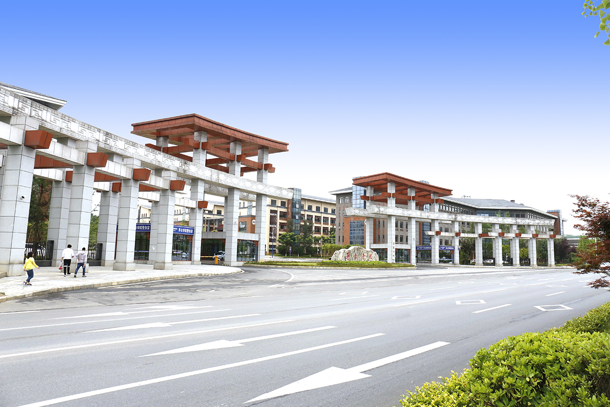 1598283276968559.jpg 00.JPG