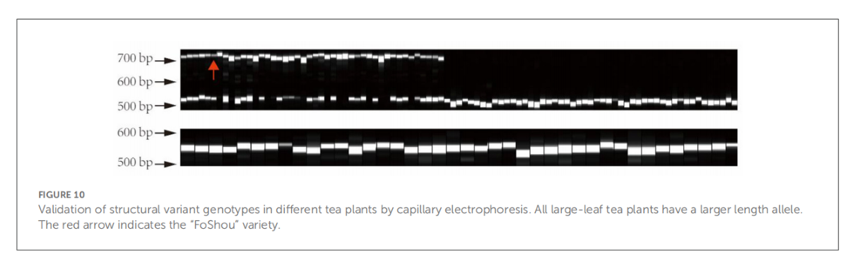 1664153378161326.png 2.png