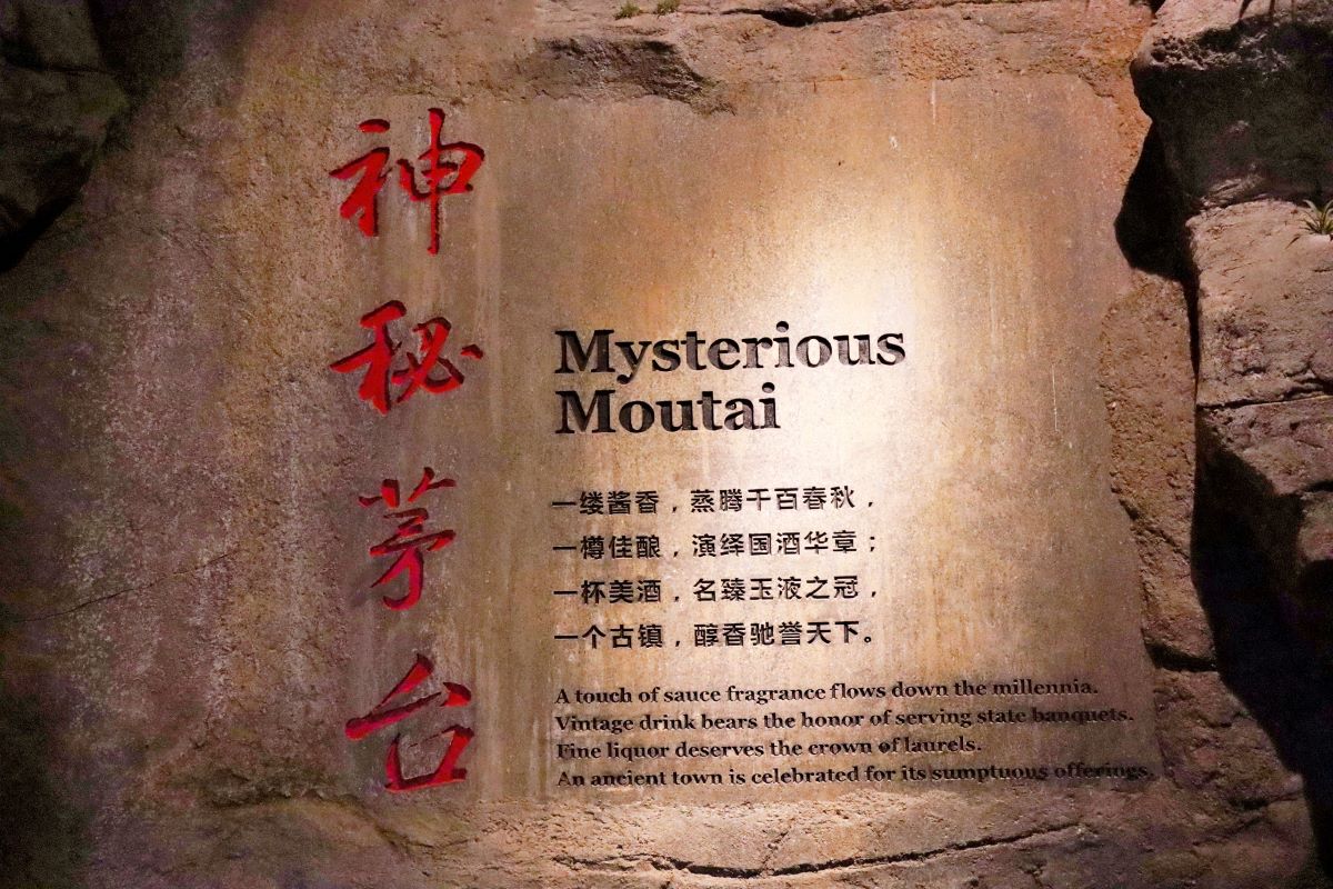 1669425101717339.jpg 1.jpg